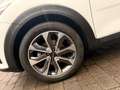 Kia Stonic DCT Vision Weiß - thumbnail 7