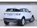 Land Rover Range Rover Evoque 2.2L TD4 Pure 4x4 Aut. Weiß - thumbnail 4