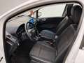 Ford EcoSport 1.0 EcoBoost Titanium X Weiß - thumbnail 10