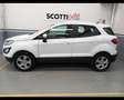 Ford EcoSport 1.0 EcoBoost Connect Blanc - thumbnail 5