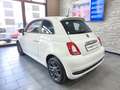 Fiat 500 Fiat 500 1.0 Hybrid Connect Bianco - thumbnail 6