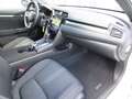 Honda Civic 1.0 Elegance, NAVI, Kamera, ACC, CD, DAB, MP3, USB Weiß - thumbnail 17