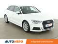 Audi Sonstige 1.6 TDI Design S-Line Weiß - thumbnail 8