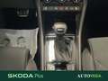 Skoda Karoq 2.0 tdi evo sportline 115cv dsg Grigio - thumbnail 11