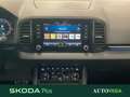 Skoda Karoq 2.0 tdi evo sportline 115cv dsg Grigio - thumbnail 10