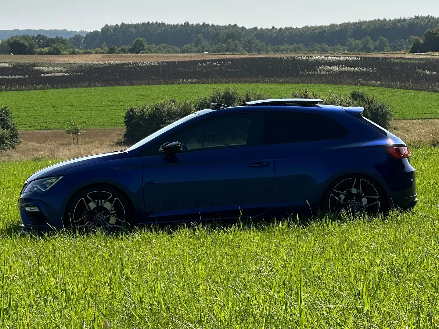 SEAT Leon Leon SC 2.0 TSI Start Blau - 2