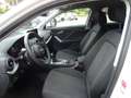 Audi Q2 35 TFSI S line #NAVI #LED #PDC Bianco - thumbnail 14