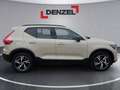 Volvo XC40 B3 Plus Dark Mild Hybrid Beige - thumbnail 5