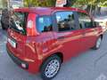 Fiat Panda 1.0 FireFly HYBRID KM 0  5 POSTI CON SENSORI POST. Rosso - thumbnail 4