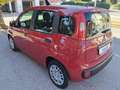 Fiat Panda 1.0 FireFly HYBRID KM 0  5 POSTI CON SENSORI POST. Rosso - thumbnail 6