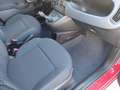 Fiat Panda 1.0 FireFly HYBRID KM 0  5 POSTI CON SENSORI POST. Rosso - thumbnail 9