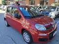 Fiat Panda 1.0 FireFly HYBRID KM 0  5 POSTI CON SENSORI POST. Rosso - thumbnail 3