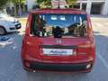 Fiat Panda 1.0 FireFly HYBRID KM 0  5 POSTI CON SENSORI POST. Rosso - thumbnail 5
