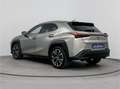 Lexus UX 250h Executive Line | Stoelgeheugen | 360' Camera | Car Grau - thumbnail 14