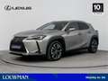 Lexus UX 250h Executive Line | Stoelgeheugen | 360' Camera | Car Grau - thumbnail 1