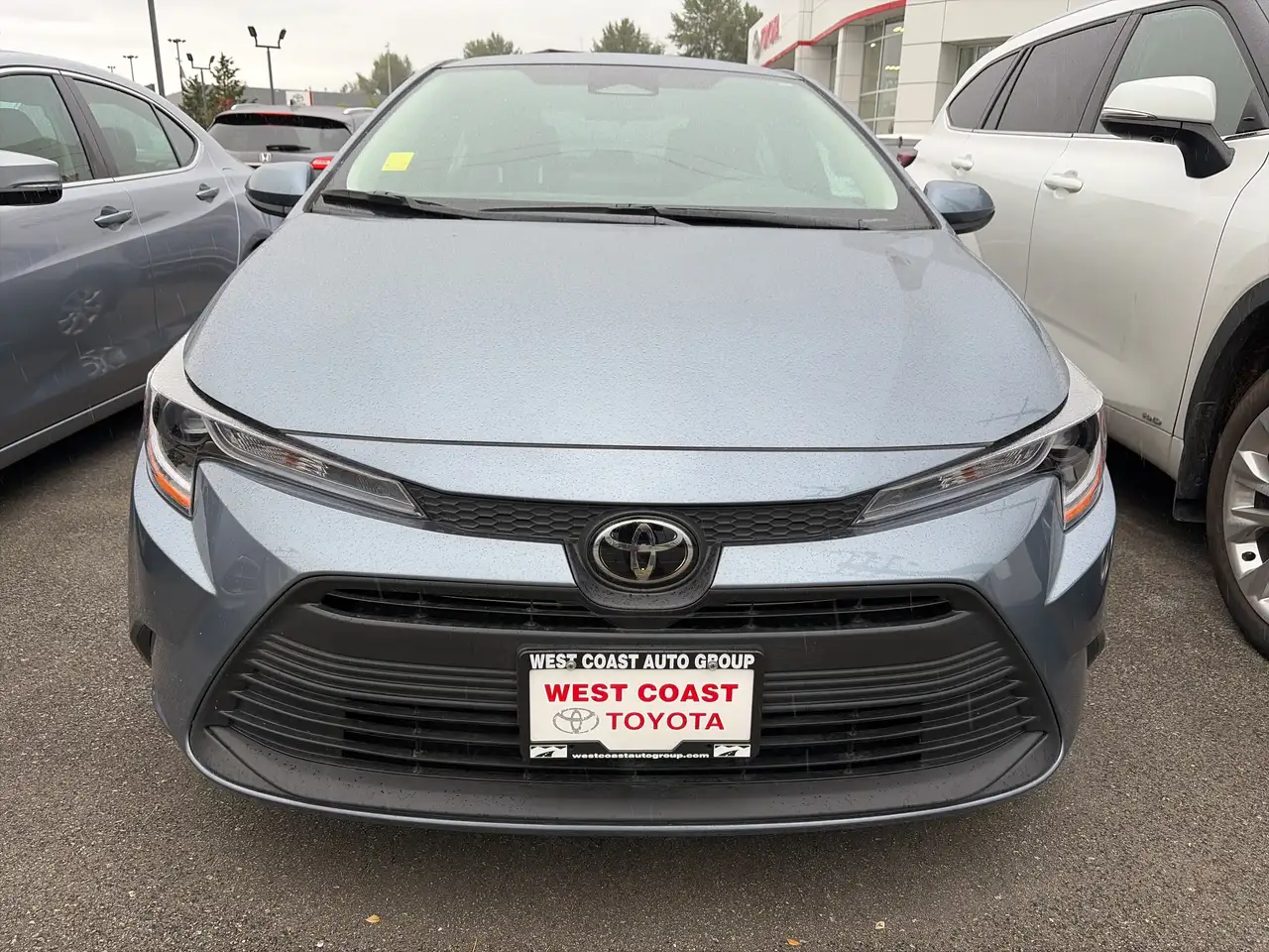 Toyota Corolla photo Toyota Corolla