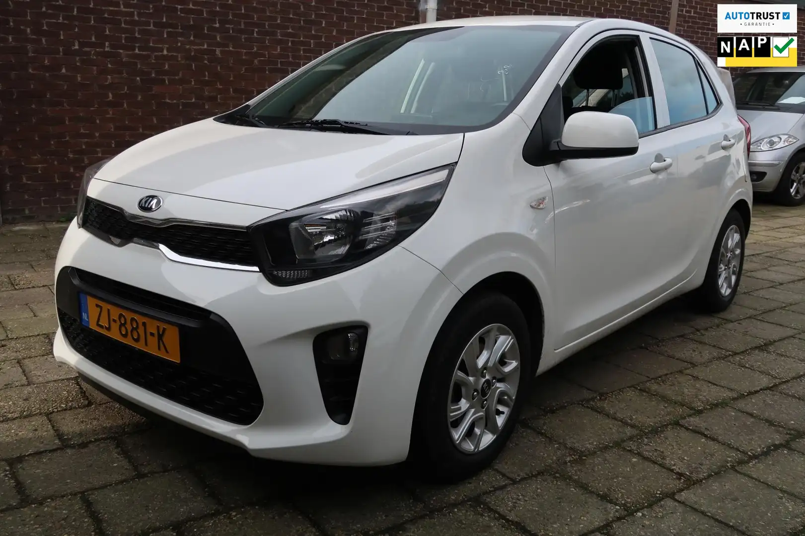 Kia Picanto 1.0 DynamicLine, Climate+cruise control, Navigatie Wit - 1