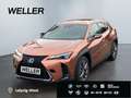 Lexus UX 300h F SPORT Design *LED*ACC*Kamera*SHZ*Navi* Rood - thumbnail 1