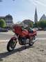 Laverda 1000 SFC CLASSIC - thumbnail 6