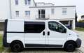 Opel Vivaro 1.9CDTI 120.000Km HundeTransporter+Rampe Blanc - thumbnail 5