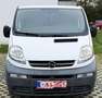 Opel Vivaro 1.9CDTI 120.000Km HundeTransporter+Rampe Blanc - thumbnail 7