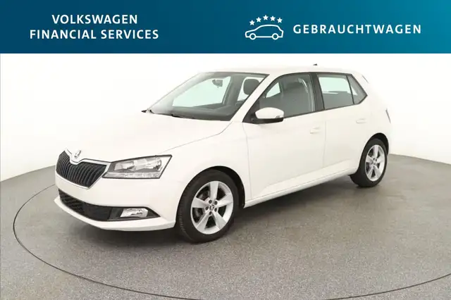 Skoda Fabia Active 1.0 MPI 4 Türen PDC*Klima*SH