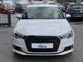 Audi A3 1,6 TDI design/sport Weiß - thumbnail 2