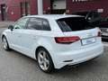 Audi A3 1,6 TDI design/sport Weiß - thumbnail 5