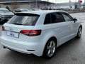 Audi A3 1,6 TDI design/sport Weiß - thumbnail 7