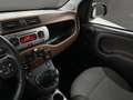 Fiat Panda 1.3 MJT 16v Cross 4x4 S&S 95cv Beige - thumbnail 17