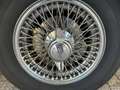 Jaguar E-Type 2+2 Serie 1 1/2 Alb - thumbnail 17