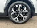 Renault Austral Techno 1.3 TCe 160 Mild-Hybrid Wit - thumbnail 17