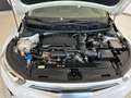 Kia Stonic 1.0 T-GDi MHEV Drive 120 Blanc - thumbnail 12