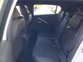 Opel Astra 1.2 Turbo GS Aut. Weiß - thumbnail 22