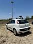 Fiat Punto 5p 1.2 ELX c/SS 75cv Bianco - thumbnail 7