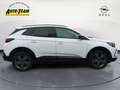 Opel Grandland 1.5 D Automatik GS (1G) Weiß - thumbnail 5