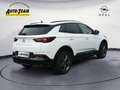 Opel Grandland 1.5 D Automatik GS (1G) Weiß - thumbnail 4
