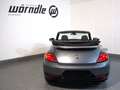 Volkswagen Beetle VW The Beetle Cabriolet Sport A. TDI DSG Grigio - thumbnail 6