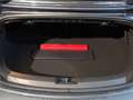 Volkswagen Beetle VW The Beetle Cabriolet Sport A. TDI DSG Grigio - thumbnail 14