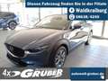 Mazda CX-30 2.5L e-SKYACTIV G Automatik Exclusive Grau - thumbnail 1