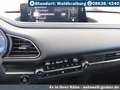 Mazda CX-30 2.5L e-SKYACTIV G Automatik Exclusive Grau - thumbnail 16