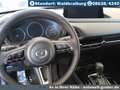 Mazda CX-30 2.5L e-SKYACTIV G Automatik Exclusive Grau - thumbnail 21