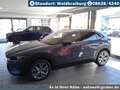 Mazda CX-30 2.5L e-SKYACTIV G Automatik Exclusive Grau - thumbnail 2