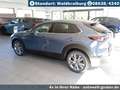 Mazda CX-30 2.5L e-SKYACTIV G Automatik Exclusive Grau - thumbnail 3