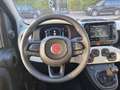 Fiat Panda NUOVA PANDINA CROSS 1.0 HYBRID Verde - thumbnail 14