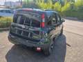Fiat Panda NUOVA PANDINA CROSS 1.0 HYBRID Verde - thumbnail 3