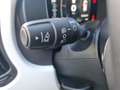 Fiat Panda NUOVA PANDINA CROSS 1.0 HYBRID Verde - thumbnail 13