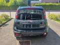 Fiat Panda NUOVA PANDINA CROSS 1.0 HYBRID Verde - thumbnail 6