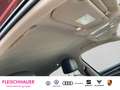 Volkswagen Touareg 3.0 TSI DSG V6 4Motion HUD Luftfederung StandHZG A Rot - thumbnail 17