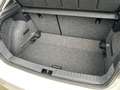 SEAT Ibiza Road Edition 1.0 TSI DSG PDC, RVC, Pano Blanc - thumbnail 14